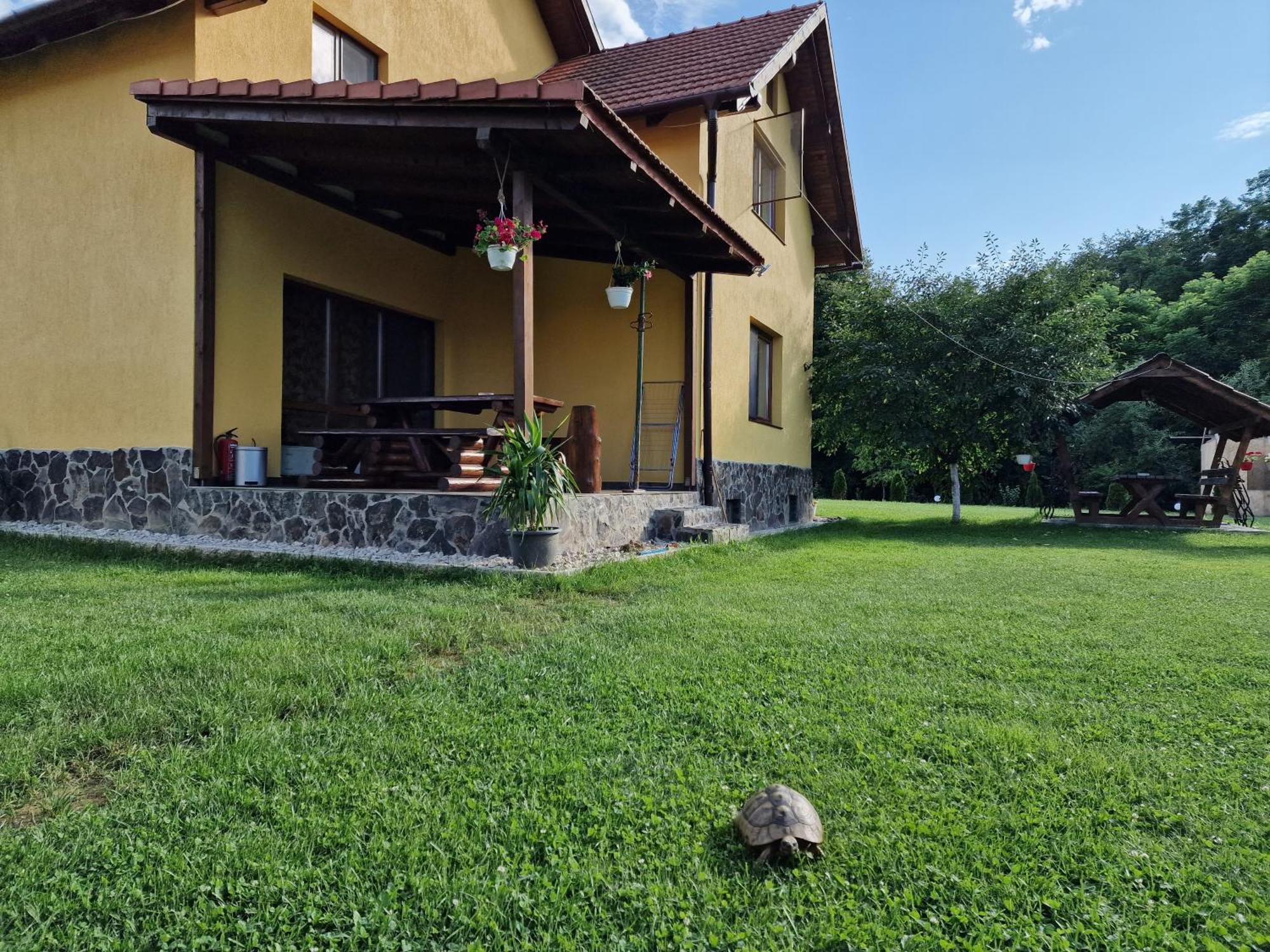 Casa Maya Săsciori Eksteriør bilde